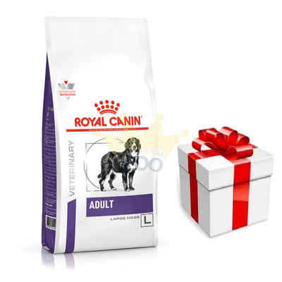 ROYAL CANIN Adult Large Dog 13kg + STAIGMENA FOR DOGS