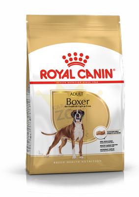 ROYAL CANIN Boxer Adult 12kg + STAIGMENA FOR DOGS