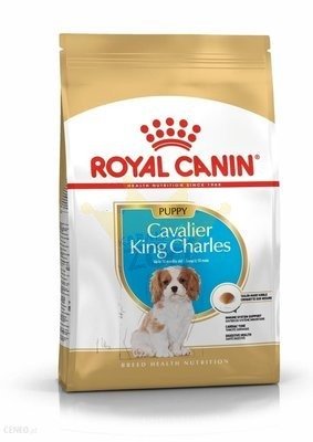 ROYAL CANIN Cavalier King Charles Spanieli kutsikas 1,5 kg + koeratoit