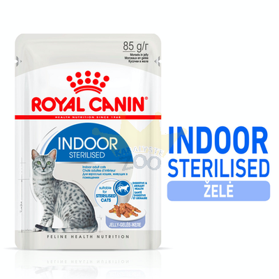 ROYAL CANIN Indoor steriliseeritud želee pakend 12x85g