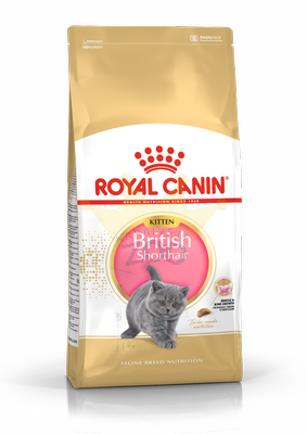 ROYAL CANIN Kitten Briti lühikarvaline 10kg