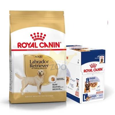 ROYAL CANIN Labrador Retriiver Adult 12kg + märgtoit TASUTA!