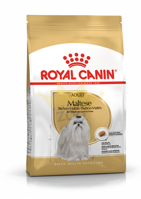 ROYAL CANIN Maltese Adult 500g + STAIGMENA FOR DOGS