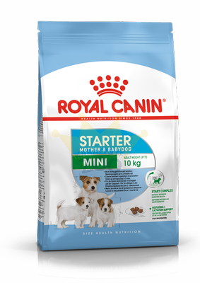 ROYAL CANIN Mini Starter Mother & Babydog 1kg kuivtoit tiinetele ja imetavatele emadele ja kutsikatele, 4 kuni 8 nädalat, väikestele tõugudele