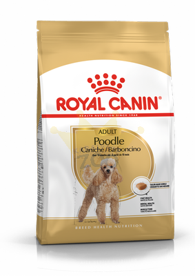 ROYAL CANIN Puudel Adult 1,5kg + STAIGMENA FOR DOGS