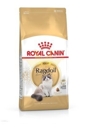 ROYAL CANIN Ragdoll Adult 10kg kuivtoit täiskasvanud raagdoll kassidele