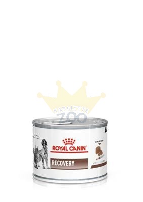 ROYAL CANIN Recovery 195g purk