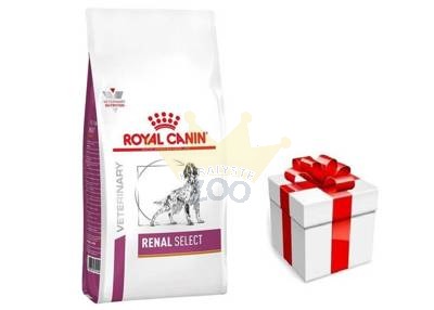 ROYAL CANIN Renal Select Canine RSE 10kg + STAGMENA FOR DOGS