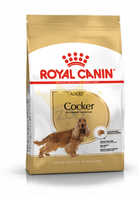 Royal Canin Cocker Adult 12 kg + koeratoit