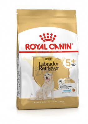 Royal Canin LABRADOR RETRIEVIER ADULT 5+ 12kg + koeratoit