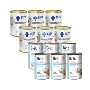 BRIT GF Veterinary Diets Dog Obesity 400g - märgtoit koertele