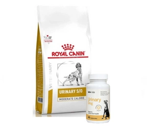 ROYAL CANIN Urinary S/O Moderate Calorie UMC 20 12kg