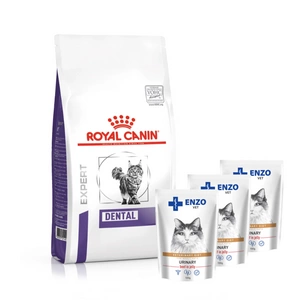ROYAL CANIN Dental S/O DSO 29 3kg
