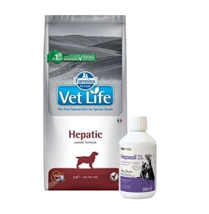 FARMINA Vet Life koera hepaatiline 12kg