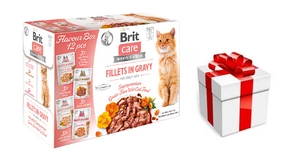 BRIT CARE kassifilee kastmesegu 12x85g + STAIGMENA KATEI