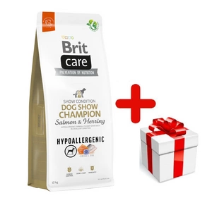 BRIT CARE Dog Hypoallergeenne koertenäitus Champion Salmon & Hering 12kg + SHAME FOR DOG