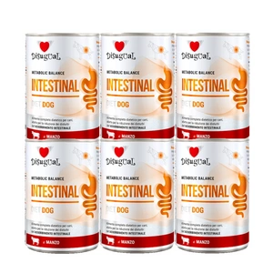 Disugual Veterinary märja koeratoit INTESTINAL Beef (täiskasvanud) 400g