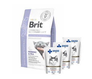 Brit gf veterinaardieet kassidele Gastrointestinal 5kg
