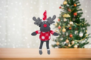 TRIXIE Trixie Pluuspõder koertele 42cm