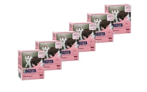 BOZITA kassiliha kastmega 370g