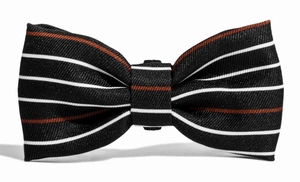 ZEE DOG Patagonia Suur koera kikilips