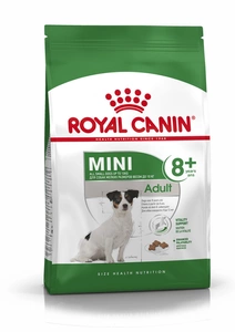 ROYAL CANIN Mini Adult +8 Plus - 2kg + STAIGMENA KUTSE KOERTELE