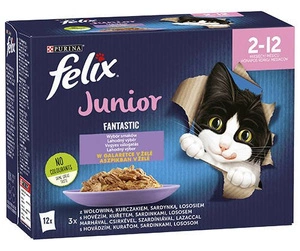 FELIX Fantastic Junior marmelaadiga;12x85g