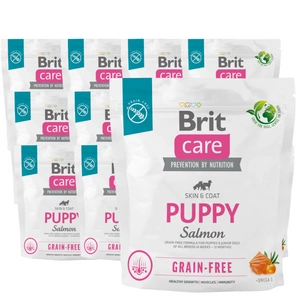 BRIT CARE Dog Grain-free Puppy Salmon 1kg