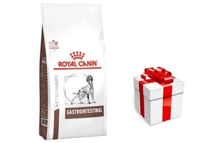 ROYAL CANIN Gastro Intestinal GI25 2kg + STAIGMENA FOR DOGS