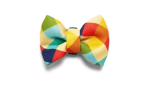 ZEE DOG Phantom Väike koera kikilips