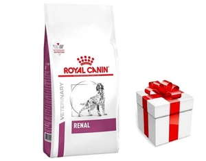 ROYAL CANIN Renal RF 14 7kg + STAIGMENA KUTSE KOERTELE