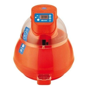 Naminių paukščių girdykla su užsukamu dangteliu, 3 l, su rankena