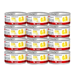 Disugual Veterinary märja kassitoit RENAL Beef (täiskasvanud) 85g