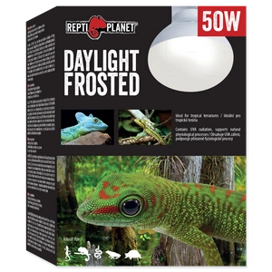 REPTI PLANET Daylight Frosted 50W lambid