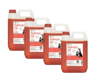 LAB V lõheõli koertele ja kassidele 5000ml