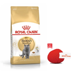 ROYAL CANIN Briti lühikarvaline 10kg kuivtoit täiskasvanud Briti lühikarvalistele kassidele