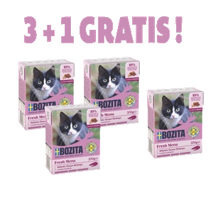 BOZITA Cat Shrimps kastmes 370g