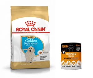 ROYAL CANIN Golden Retriiver Junior 12kg + TASUTA Mr.BIG Junior 400g