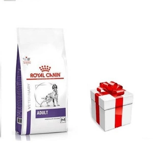 ROYAL CANIN Adult Skin&amp;Digest 4kg + STAIGMENA FOR DOGS (koertele)