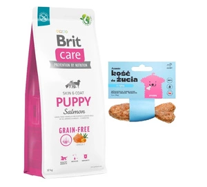 BRIT CARE Dog Grain-free Puppy Salmon 12kg