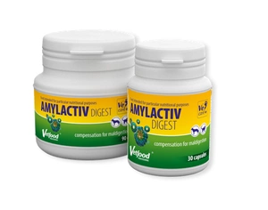 VETFOOD Amylactiv Digest 30 kapslit.