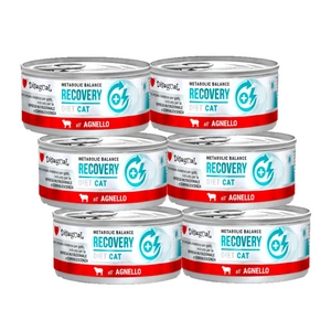 Disugual Veterinary RECOVERY Lambaliha märja kassitoit (täiskasvanud) 85g