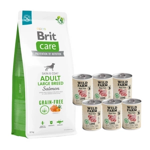 BRIT CARE Dog Grain-free Adult Large Breed Salmon 12kg