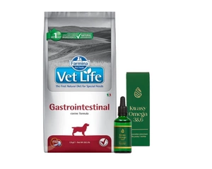 FARMINA Vet Life koera gastrointestinaalne 12kg