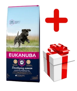 EUKANUBA Junior Large 15kg + koeratoit
