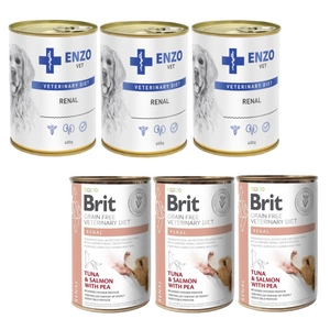 BRIT GF veterinaardieet koerale Renal 400g märgtoit koertele
