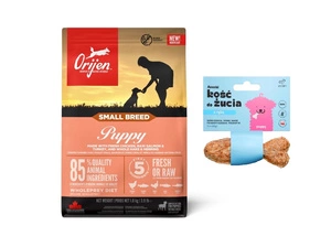 ORIJEN VÄIKETÕUGU KUTSIKAS 1,8 KG