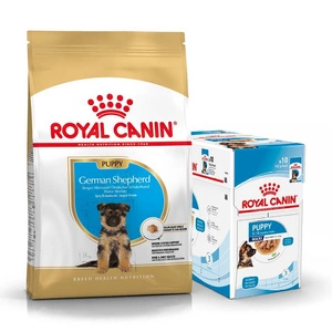 ROYAL CANIN German Shepherd Puppy 12kg kuivtoit kutsikatele kuni 15 kuu vanustele kutsikatele, saksa lambakoeratõugudele