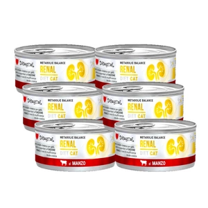 Disugual Veterinary märja kassitoit RENAL Beef (täiskasvanud) 85g