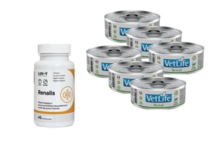 Farmina Vet Life Renal Cat 85g